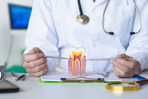  Bernardsville, NJ Emergency Dentist Pros